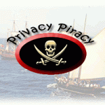 online reputation book -- privacy piracy